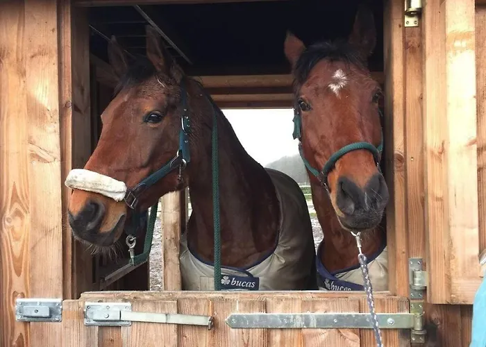 Pleasant In Munster (North Rhine-Westphalia)